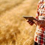 Кернел увійшов до ТОП-5 українських компаній з найбільшими ІТ-підрозділами