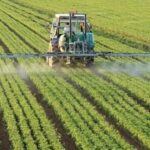 Теком Агро Груп планує побудувати завод з виробництва КАС