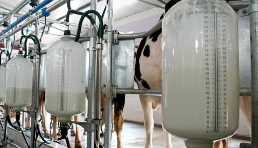 Виробництво молока на фермах вперше&hellip;