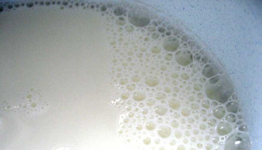 Ціни на молоко в Україні стабілізувалися