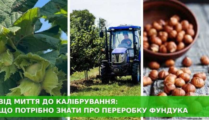 Господарство вже п'ять років підбирає обладнання для переробки фундука.