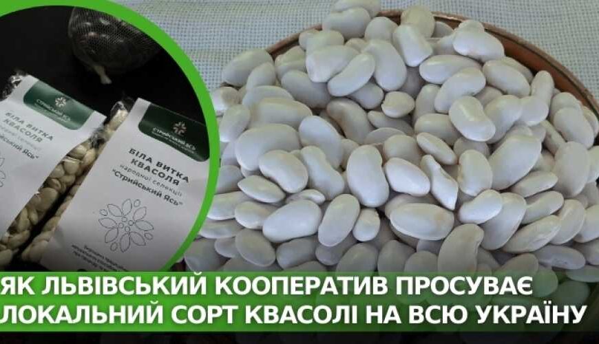 Як львівський кооператив просуває місцевий…