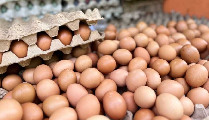 Виробництво яєць на птахофермах перевищило 6 мільярдів