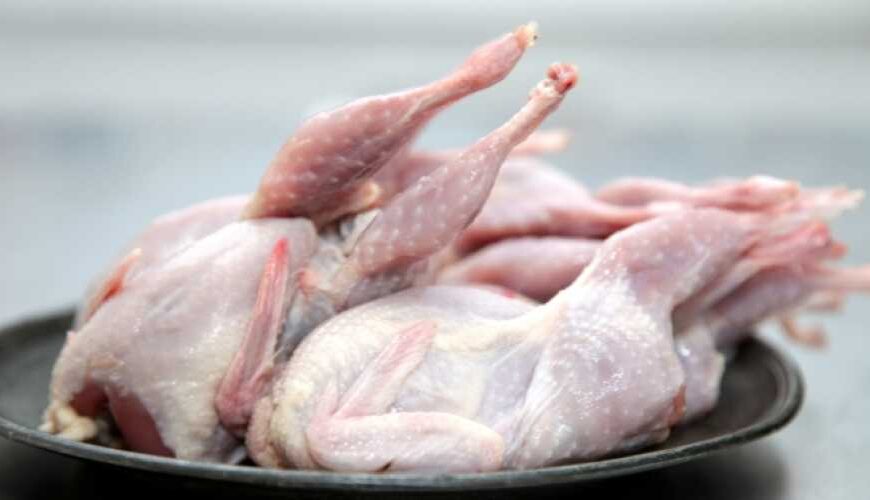 Продукція птиці піде на азійські ринки замість ЄС