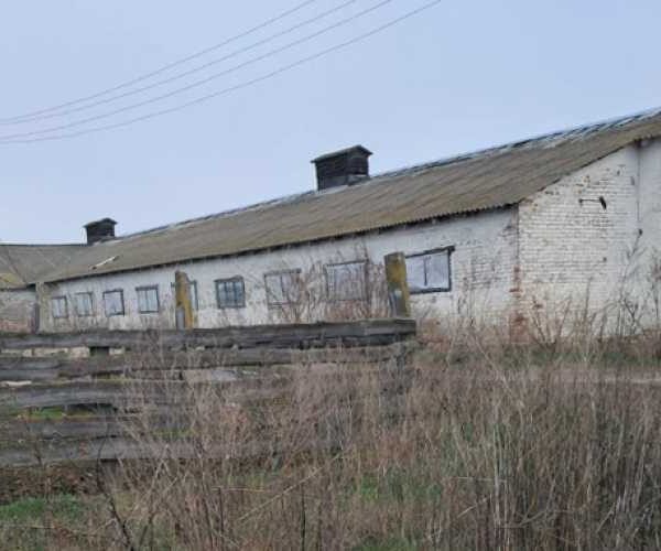 У Сумській області телятник пропонують в оренду за 75 гривень