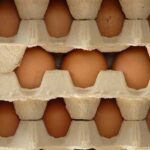 Дохід від експорту курячих яєць з України зріс у 2,6 раза