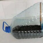 Міні-теплиця за копійки стане чудовим помічником для вирощування розсади