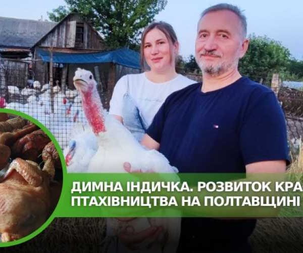 Індичка з Полтавської області набирає популярності серед українців