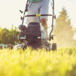 Зелена скарбниця під ногами: не викидайте скошену траву – вона збагатить ваш урожай