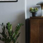 Обов’язково зробіть це із заміокулькасом до настання зими.