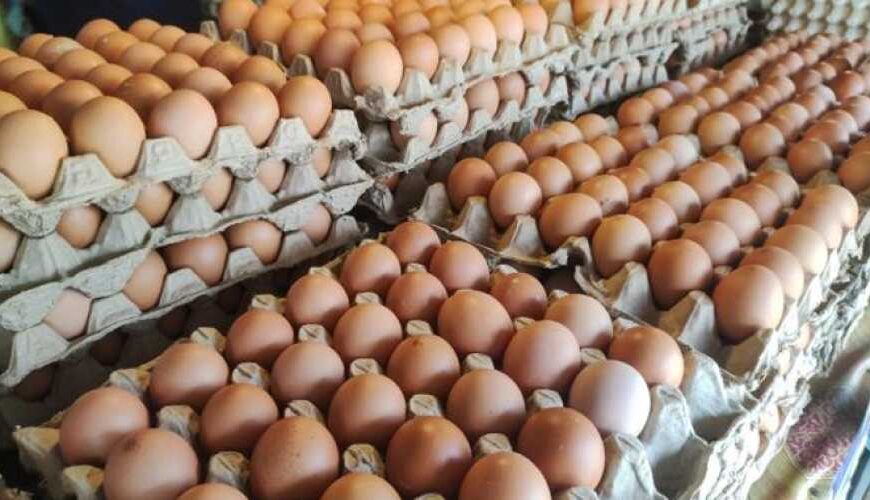 Ціни на яйця в Україні впали на 5% за місяць