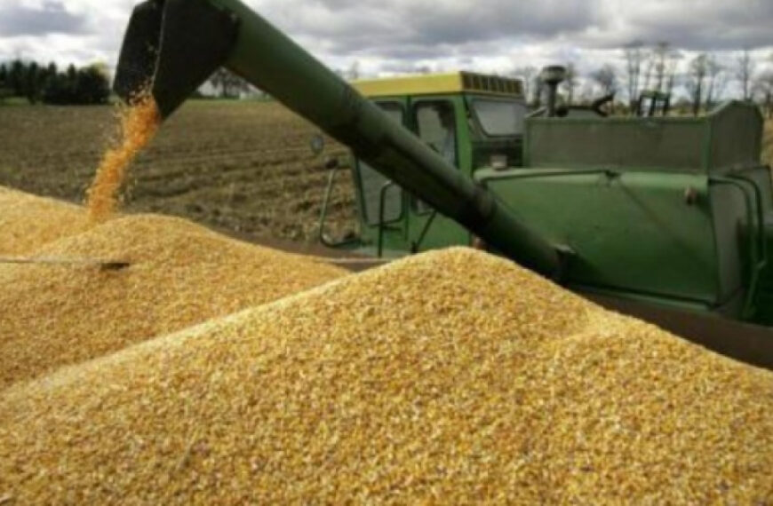 Російська Федерація пережила аграрна криза.