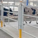 Запроваджено додаткову підтримку тваринництва