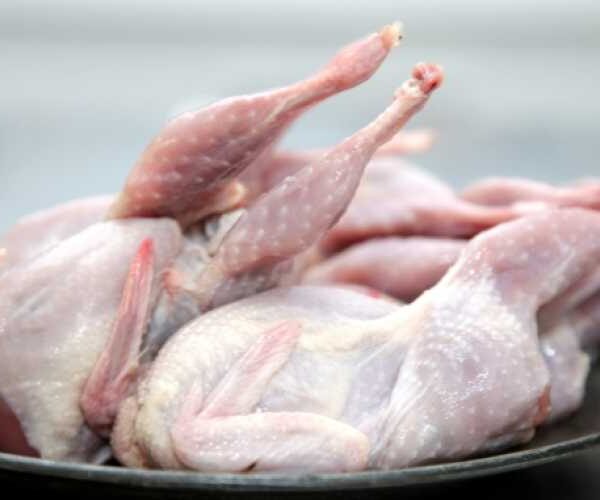 Україна заборонила імпорт продукції птиці зі США