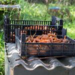 Шкідливі звички: п’ять причин, чому у вас не буде гарного саду