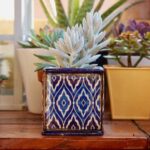 Чому не варто дарувати розсаду та квіти в горщиках