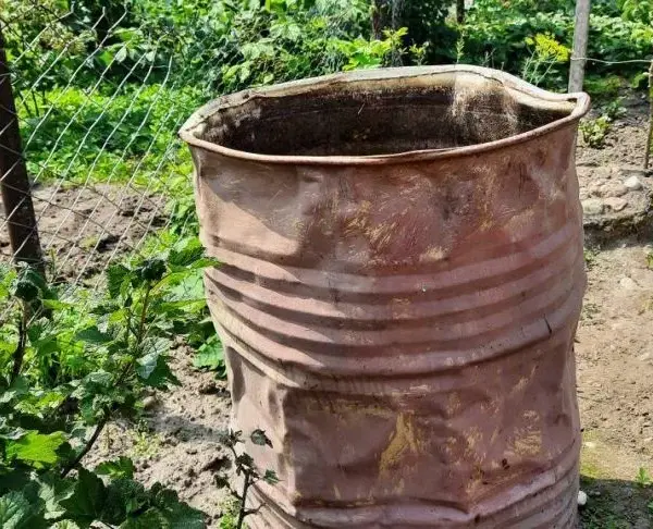 Як зробити зі старої бочки родзинку ділянки: 10 способів подарувати мотлоху друге життя