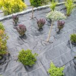 Агротканина: довговічний захист ґрунту та секрет чистого врожаю