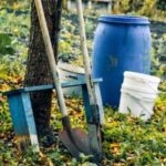 Як підготувати восени до зими садово-городню ділянку?