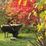 Календар дачника Чим зайнятися у листопаді?