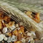 Не сійте крупу на городі! Чому популярна “порада” з інтернету — це пастка для вашого саду