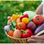 Що потрібно встигнути зробити дачнику у вересні в саду, городі та квітнику?