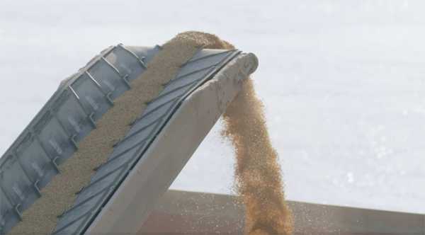 Зростання вартості агрологістики через атаки на порти.