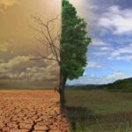 Канада залучає штучний інтелект для передбачення засухи на угіддях