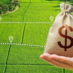 В Україні за рік відчужили 340 тисяч гектарів агроземель