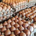 Найбільші імпортери українських яєць: трійка лідерів