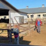 З Дніпропетровщини аграрій обманом залучав робітників до примусової праці.