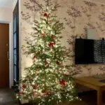 Зберегти запах і вигляд: як не дати ялинці обсипатися раніше Нового року