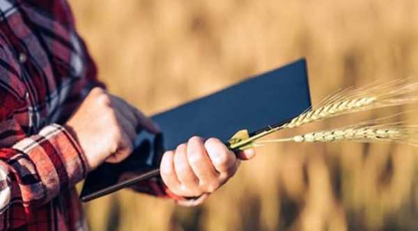 Аграрії зможуть використовувати оновлені інструменти ОРВ.