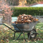 Календар дачника Чим зайнятися у жовтні?