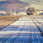 Аграрний комітет схвалив проєкт закону щодо дерегуляції земельних відносин.