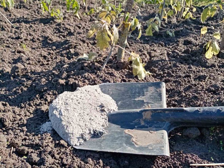 Навіщо додавати золу до грядок: несподіваний результат зола