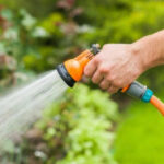 Як рідше поливати грядки на своїх шістьох сотках?