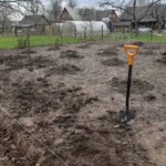 Навіщо додавати лушпиння цибулі в землю: несподіваний результат