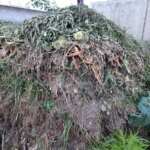 Навіщо додавати золу в компост: несподіваний результат