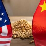 Китай нарощує закупівлю сої в США