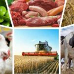 Аграрне виробництво в Україні знизилось майже на 7%