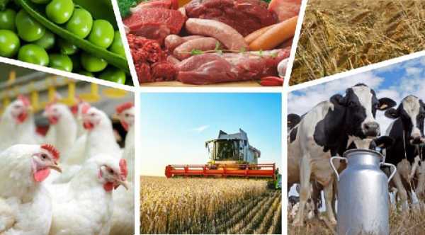 Аграрне виробництво в Україні знизилось майже на 7%