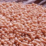 Соя: Забезпечення Її Збереження