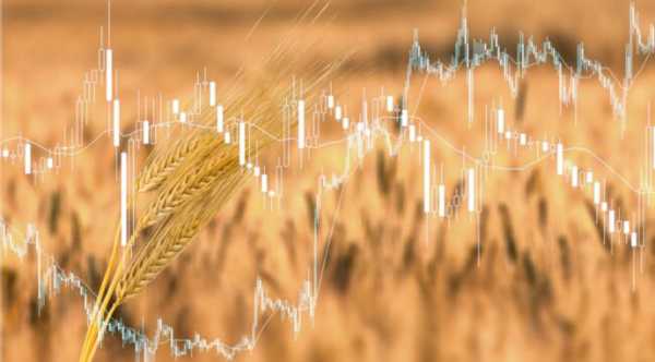 Канада, Молдова та Сербія витіснили Україну на пшеничному ринку ЄС.