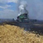 Воєнний час: огляд аграрного сектору України