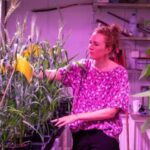 Триває тестування сорту пшениці, адаптованого до солоних земель.