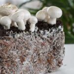 Вирощування клітин – вирішальний компонент у перспективній екологічній продовольчій системі.