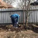 Найчастіші весняні промахи садоводів і дачників та шляхи їх усунення