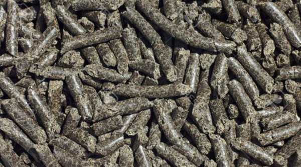 Канада обходить Україну в експорті ріпакового шроту до ЄС.