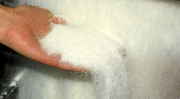 Львівські фабрики зварили 175 тисяч тонн солодкого піску